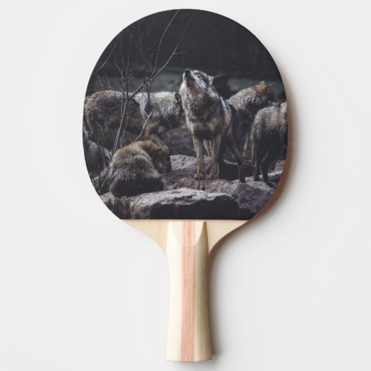 Wolvenroedel Tafeltennisbatje (Voorkant)