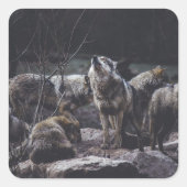 Wolvenroedel Vierkante Sticker (Voorkant)