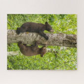 Wolvenwelpen klimmen in boom legpuzzel (Horizontaal)