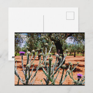Wolverene in Olijfgaard Briefkaart
