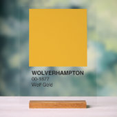 Wolverhampton Wolf Gold - Heldere achtergrond Acryl Bord (Neutraal)