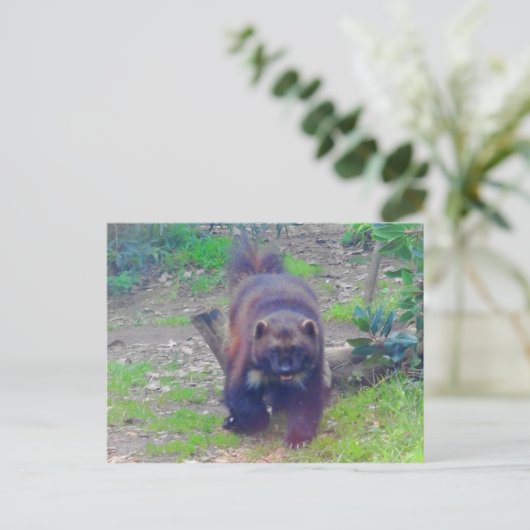 Wolverine #1 Briefkaart (Staand voorkant)