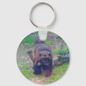 Wolverine #1 Sleutelhanger (Voorkant)