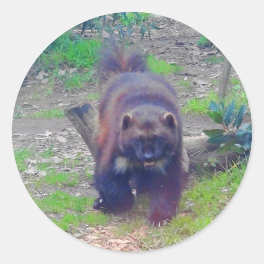 Wolverine #1 Stickers (Voorkant)