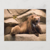 Wolverine Briefkaart (Voorkant)