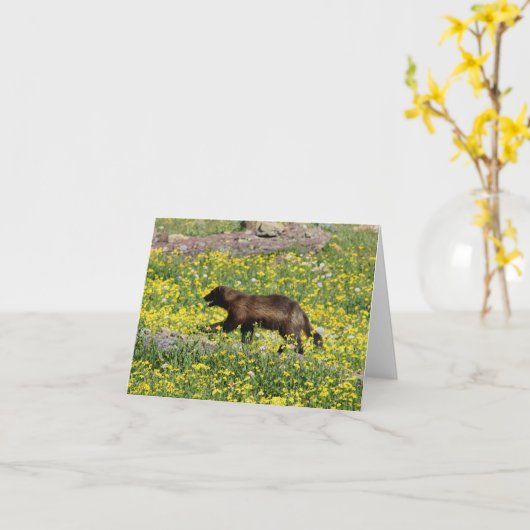 Wolverine de Kaart van de Nota (Gele Bloem)