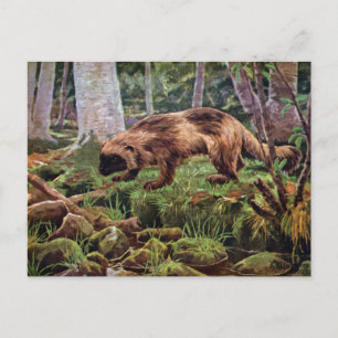  Wolverine Illustratie Briefkaart