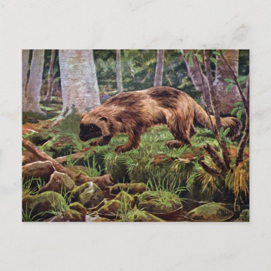  Wolverine Illustratie Briefkaart (Voorkant)