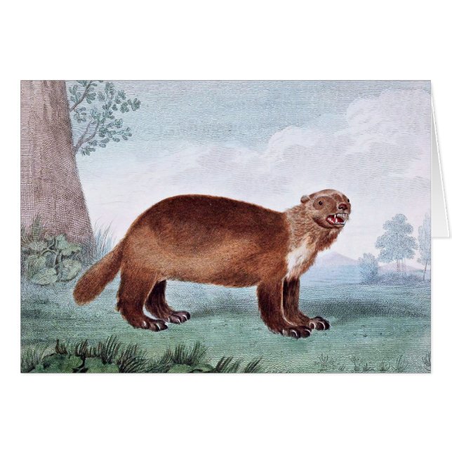 Wolverine  kunst (Voorkant Horizontaal)