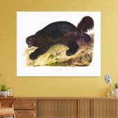 Wolverine of Wolverene (Gulo gulo) door Audubon Canvas Afdruk (Insitu (Woonkamer))