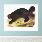 Wolverine of Wolverene (Gulo gulo) door Audubon Canvas Afdruk (Insitu (Houten vloer))