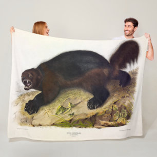 Wolverine of Wolverene (Gulo gulo) door Audubon Fleece Deken