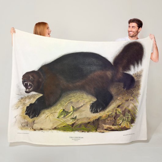 Wolverine of Wolverene (Gulo gulo) door Audubon Fleece Deken (In situ)