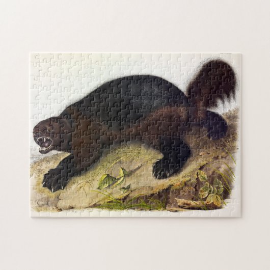 Wolverine of Wolverene (Gulo gulo) door Audubon Legpuzzel (Horizontaal)