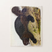 Wolverine of Wolverene (Gulo gulo) door Audubon Legpuzzel (Verticaal)