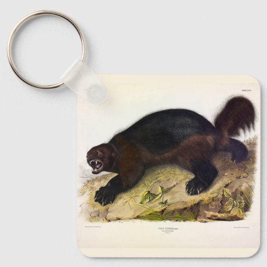 Wolverine of Wolverene (Gulo gulo) door Audubon Sleutelhanger (Voorkant)
