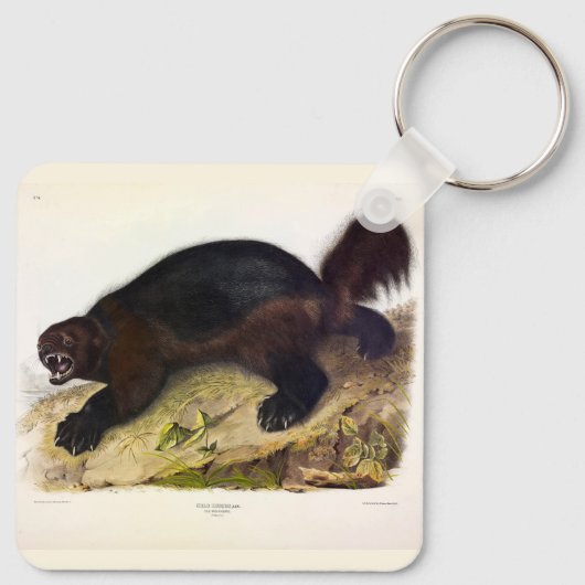 Wolverine of Wolverene (Gulo gulo) door Audubon Sleutelhanger (Achterkant)