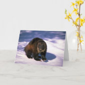 Wolverine op sneeuw kaart (Gele Bloem)