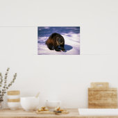 Wolverine op sneeuw poster (Keuken)
