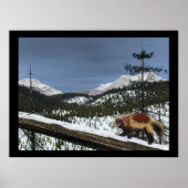 Wolverine Poster (Voorkant)