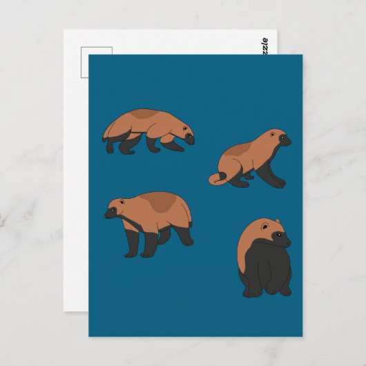 Wolverines Briefkaart (Voorkant / Achterkant)