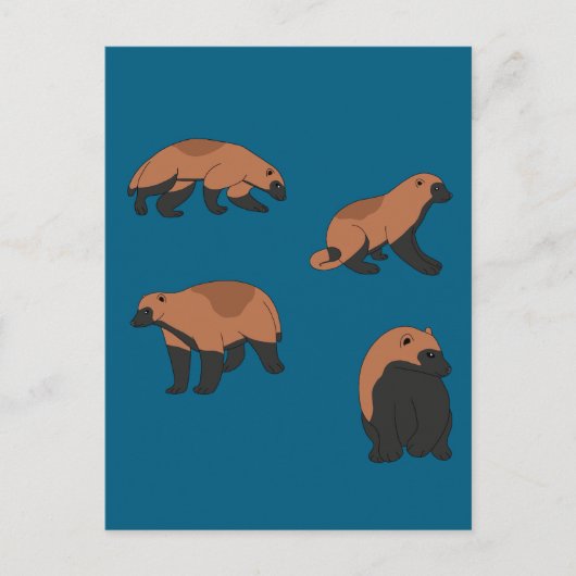 Wolverines Briefkaart (Voorkant)