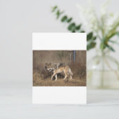 WOLVES BRIEFKAART (Staand voorkant)