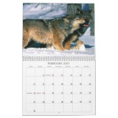 Wolves Calendar Kalender (Feb 2027)