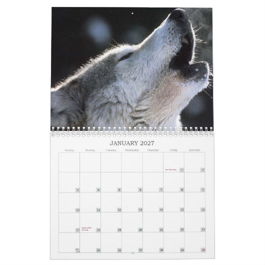 Wolves Calendar Kalender (Jan 2027)
