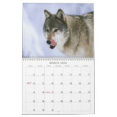 Wolves Calendar Kalender (Mar 2026)