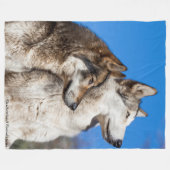Wolves Fleece Blanket (Voorkant (Horizontaal))