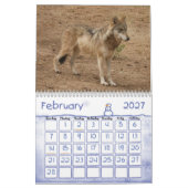 Wolves Gray Wolf Calendar Kalender (Feb 2027)