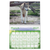 Wolves Gray Wolf Calendar Kalender (Mar 2027)