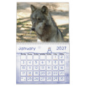 Wolves Gray Wolf Calendar Kalender (Jan 2027)