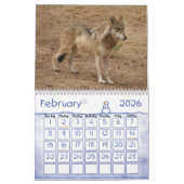 Wolves Gray Wolf Calendar Kalender (Feb 2026)