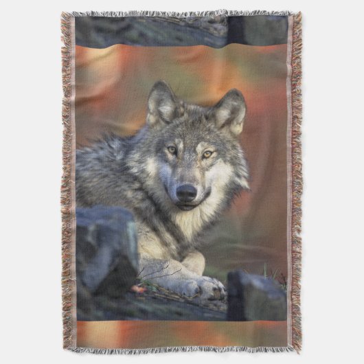 Wolves Gray Wolf Canis_lupus Deken (Voorkant Verticaal)