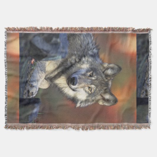 Wolves Gray Wolf Canis_lupus Deken (Voorkant)