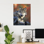 Wolves Gray Wolf Canis_lupus Poster (Thuiskantoor)