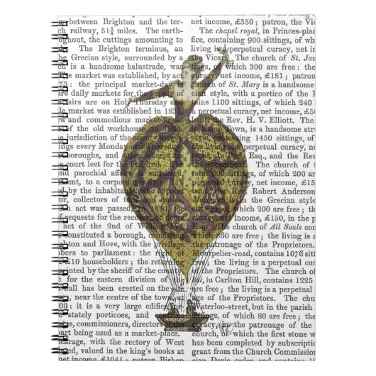 Woman 1 van de luchtballon notitieboek (Voorkant)