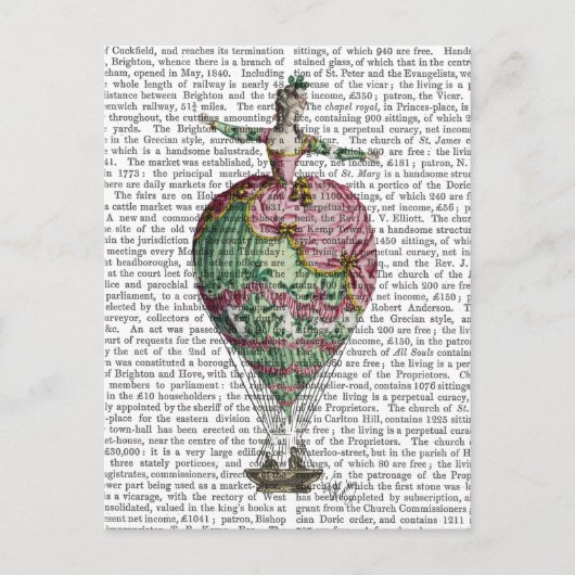 Woman 2 van de luchtballon briefkaart (Voorkant)