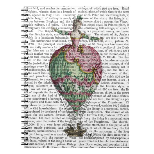 Woman 2 van de luchtballon notitieboek (Voorkant)