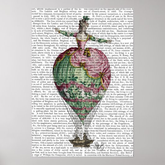 Woman Hot Air-ballon Poster (Voorkant)