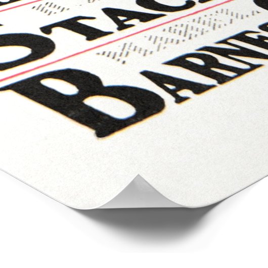 Woman Magazine Poster (Hoek)