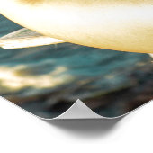 Woman Posing By The Seaside Poster (Hoek)