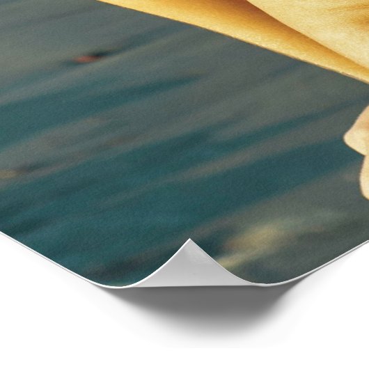 Woman Relaxing On A Sunny Beach Poster (Hoek)