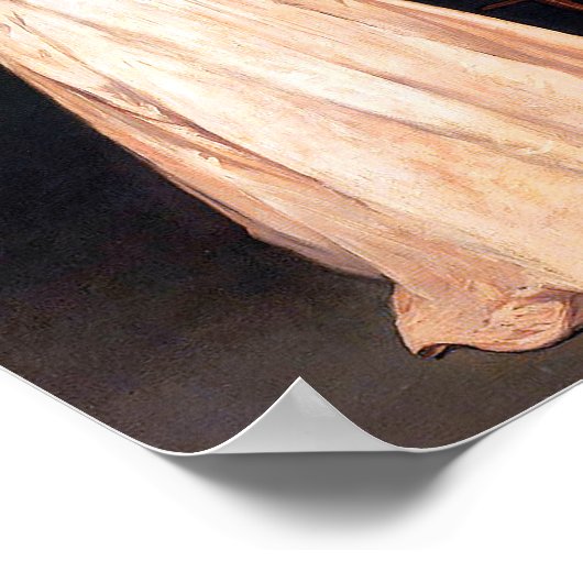 Woman with a parrot by Édouard Manet Poster (Hoek)