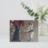 Womanizer Briefkaart (Staand voorkant)