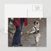 Womanizer Briefkaart (Voorkant / Achterkant)