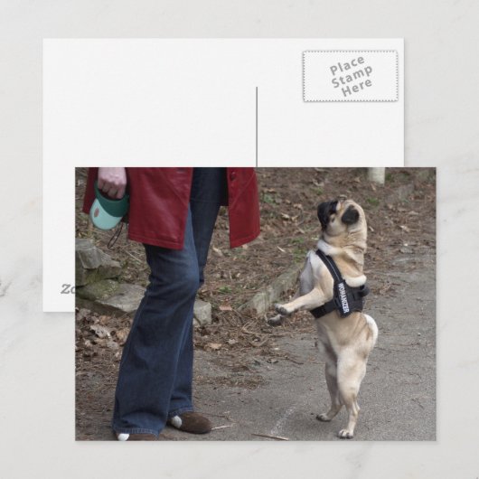 Womanizer Briefkaart (Voorkant / Achterkant)