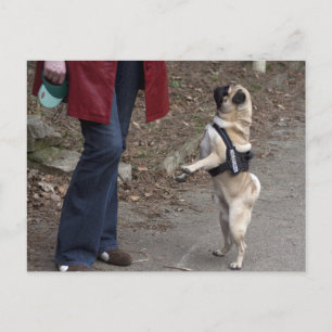 Womanizer Briefkaart